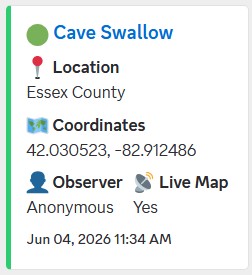Sample Discord Alert